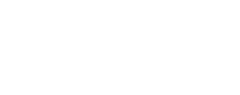 Plan D — Daphne Hoffman